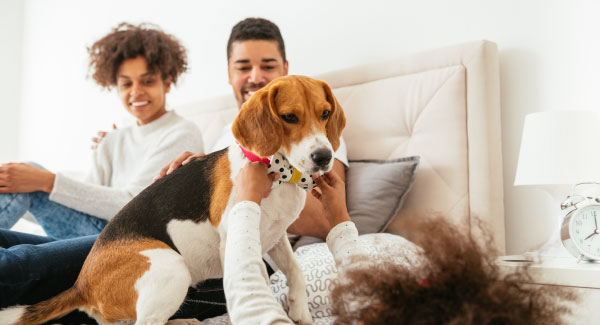 Boiler service is just a call away!